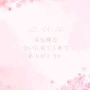 ヒメ日記 2025/04/20 23:31 投稿 ひなの スチュワーデス