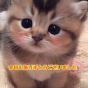 ヒメ日記 2025/05/05 19:12 投稿 秋吉りの 恋する奥さん 西中島店