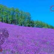 ヒメ日記 2025/05/15 18:23 投稿 秋吉りの 恋する奥さん 西中島店