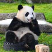 ヒメ日記 2025/06/05 17:45 投稿 秋吉りの 恋する奥さん 西中島店