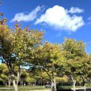 ヒメ日記 2025/09/30 12:42 投稿 秋吉りの 恋する奥さん 西中島店