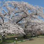 秋吉りの 秋吉りのです❀\(˙∀˙　)/❀ 恋する奥さん 西中島店