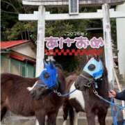 ヒメ日記 2026/01/03 09:51 投稿 小島 熟女デリヘル倶楽部