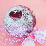 ヒメ日記 2026/02/14 14:41 投稿 小島 熟女デリヘル倶楽部