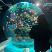 ヒメ日記 2025/03/16 22:28 投稿 桃叶　かのん Amateras～アマテラス～