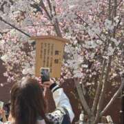 ヒメ日記 2025/04/29 23:47 投稿 桃叶　かのん Amateras～アマテラス～