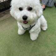 ヒメ日記 2025/05/21 20:14 投稿 桃叶　かのん Amateras～アマテラス～