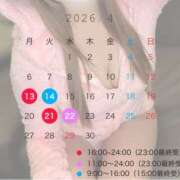 ヒメ日記 2026/04/08 11:07 投稿 桃叶　かのん Amateras～アマテラス～