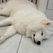 ヒメ日記 2025/01/09 13:45 投稿 如月　せな 極みSPAネクサス東海(旧イマジン名古屋)