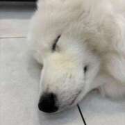 ヒメ日記 2025/01/14 12:02 投稿 如月　せな 極みSPAネクサス東海(旧イマジン名古屋)