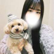 あの 今週🌟 アニバーサリー