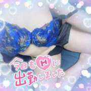 ヒメ日記 2025/07/14 15:21 投稿 さゆり 即アポマダム～名古屋店～