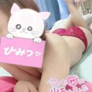 ヒメ日記 2026/01/29 10:31 投稿 さゆり 即アポマダム～名古屋店～