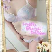 ヒメ日記 2026/02/03 15:32 投稿 さゆり 即アポマダム～名古屋店～