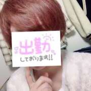 ヒメ日記 2025/01/15 14:01 投稿 さゆり 即アポ奥さん〜名古屋店〜