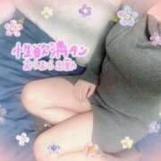 ヒメ日記 2025/02/06 17:07 投稿 さゆり 即アポ奥さん〜名古屋店〜