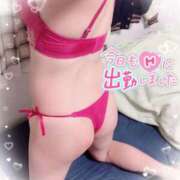 ヒメ日記 2025/02/23 09:47 投稿 さゆり 即アポ奥さん〜名古屋店〜