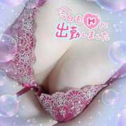 ヒメ日記 2025/04/16 15:15 投稿 さゆり 即アポ奥さん〜名古屋店〜