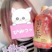 ヒメ日記 2025/11/03 10:01 投稿 さゆり 即アポ奥さん〜名古屋店〜