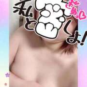 ヒメ日記 2025/11/10 10:11 投稿 さゆり 即アポ奥さん〜名古屋店〜