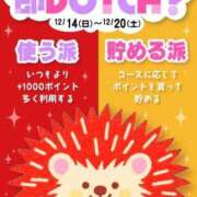 ヒメ日記 2025/12/15 19:08 投稿 さゆり 即アポ奥さん〜名古屋店〜