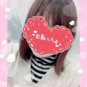 ヒメ日記 2026/02/05 10:03 投稿 さゆり 即アポ奥さん〜名古屋店〜