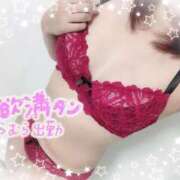 ヒメ日記 2026/03/08 10:16 投稿 さゆり 即アポ奥さん〜名古屋店〜