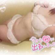 ヒメ日記 2026/04/09 10:21 投稿 さゆり 即アポ奥さん〜名古屋店〜