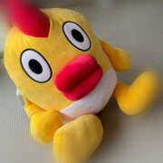 ヒメ日記 2026/01/31 12:29 投稿 かほ チアガール