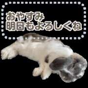 ヒメ日記 2026/02/18 23:14 投稿 かほ チアガール