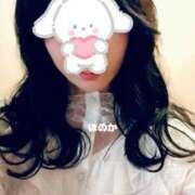 ヒメ日記 2024/12/25 08:27 投稿 ほのか 桃李（とうり）