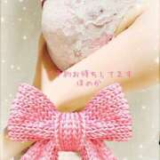 ヒメ日記 2024/12/27 06:18 投稿 ほのか 桃李（とうり）