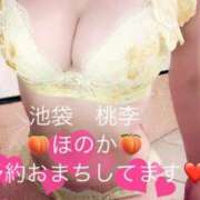 ヒメ日記 2024/12/28 12:24 投稿 ほのか 桃李（とうり）