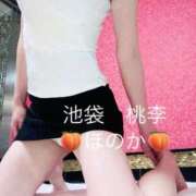 ヒメ日記 2025/02/05 06:24 投稿 ほのか 桃李（とうり）