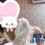 ヒメ日記 2025/02/15 21:07 投稿 ほのか 桃李（とうり）