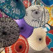 ヒメ日記 2025/04/11 10:19 投稿 ほのか 桃李（とうり）