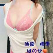 ヒメ日記 2025/04/16 08:54 投稿 ほのか 桃李（とうり）