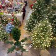 ヒメ日記 2025/12/01 22:24 投稿 ほのか 桃李（とうり）