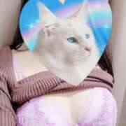 ヒメ日記 2025/01/03 09:54 投稿 朝夏 ゆりあ 神戸RED DRAGON