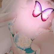 ヒメ日記 2025/04/11 12:16 投稿 朝夏 ゆりあ 神戸RED DRAGON