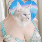 ヒメ日記 2025/06/23 16:16 投稿 朝夏 ゆりあ 神戸RED DRAGON