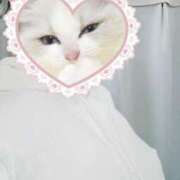 ヒメ日記 2025/07/05 18:03 投稿 朝夏 ゆりあ 神戸RED DRAGON