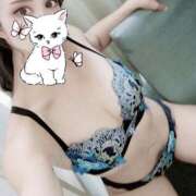 ヒメ日記 2025/08/13 17:44 投稿 朝夏 ゆりあ 神戸RED DRAGON