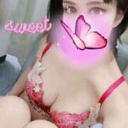 ヒメ日記 2025/12/22 19:04 投稿 朝夏 ゆりあ 神戸RED DRAGON