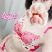 ヒメ日記 2026/01/31 08:16 投稿 朝夏 ゆりあ 神戸RED DRAGON