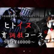 りんね ペット……💓 MASK（マスク）