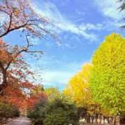 ヒメ日記 2026/01/02 18:23 投稿 りんね MASK（マスク）