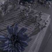 ヒメ日記 2026/03/05 00:53 投稿 せい Candy×Candy （キャンディ×キャンディ）