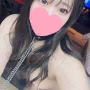 ヒメ日記 2025/03/04 16:42 投稿 ウリカ きらめけ！にゃんにゃん学園in大宮