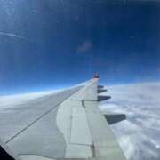 ヒメ日記 2025/03/21 19:26 投稿 ウリカ きらめけ！にゃんにゃん学園in大宮